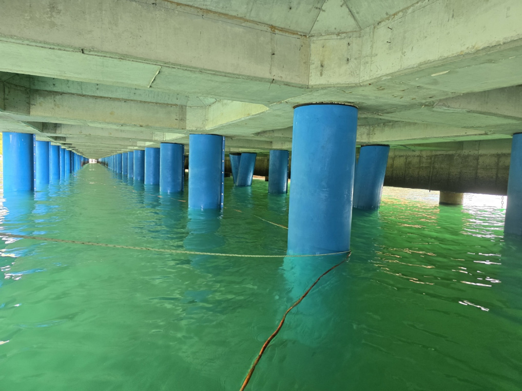 Pile Corrosion-Protection Work (Anti-Corrosion Treatment)